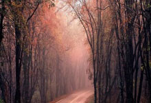 竞技宝官网:擦亮“好运山东”品牌 全面加强体育社会组织工作.